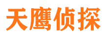 麒麟市私家侦探